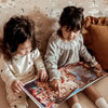 Une aventure sur le père Noël est présente dans ce livre pour les familles, un cadeau de Noël qui fera plaisir à tous.